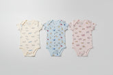Premium Baby Bodysuit Pack of 3 - Animal & Cars Print