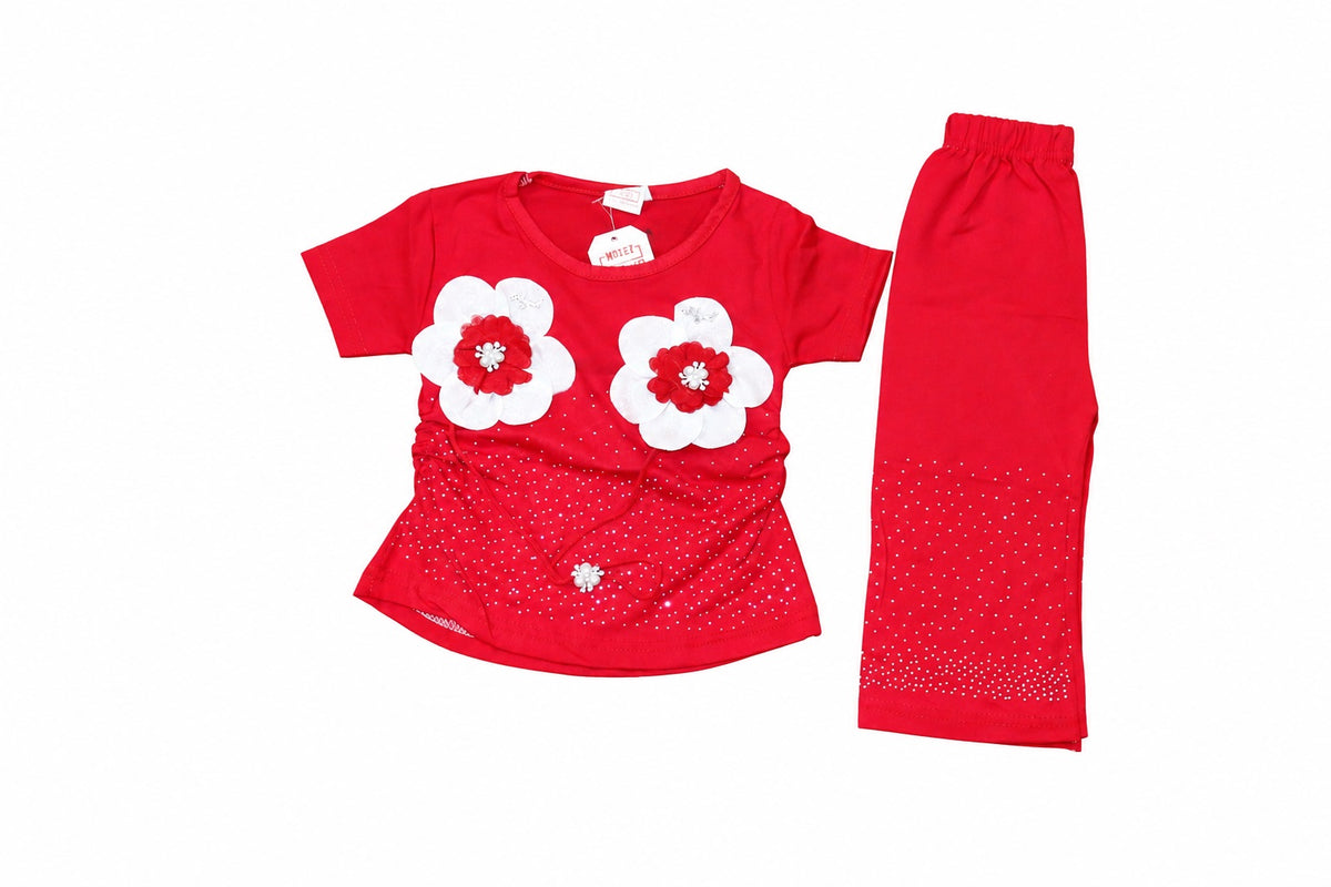 Baby Girl Flower 2 Piece Top & Trouser Set – 1 to 5 Years